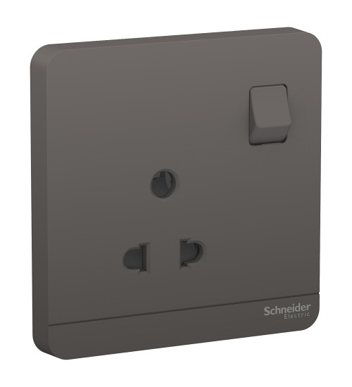 E8315C_6_DG - 6A 2/3 Pin Switched Socket Cover | Schneider Electric