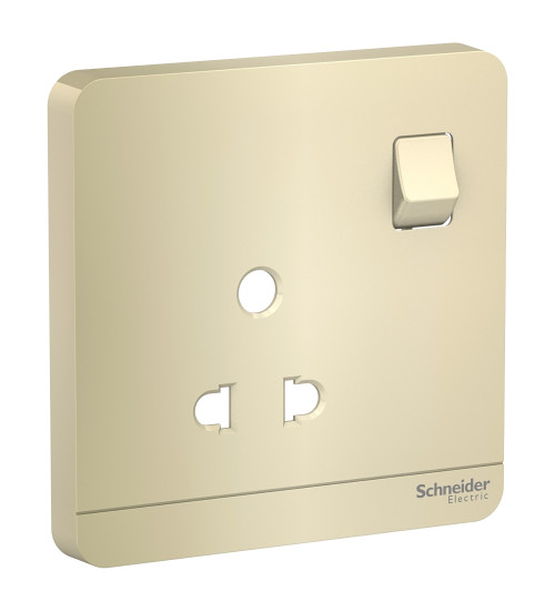 E8315C_6_WG - 6A 2/3 Pin Switched Socket Cover | Schneider Electric