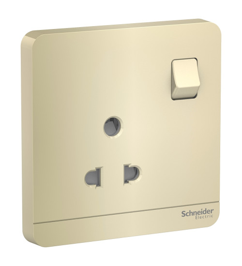 E8315_6_WG - 6A 2/3 Pin Switched Socket | Schneider Electric