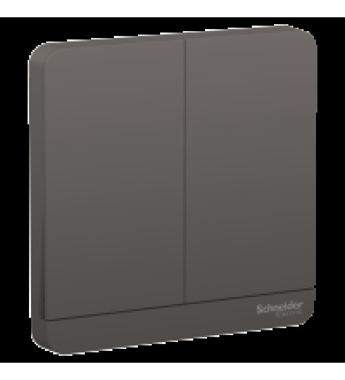 E8332L2_DG_G8 - AvatarOn, 2 switches, 16AX, 250V, 2 Way, Dark Grey | Schneider Electric