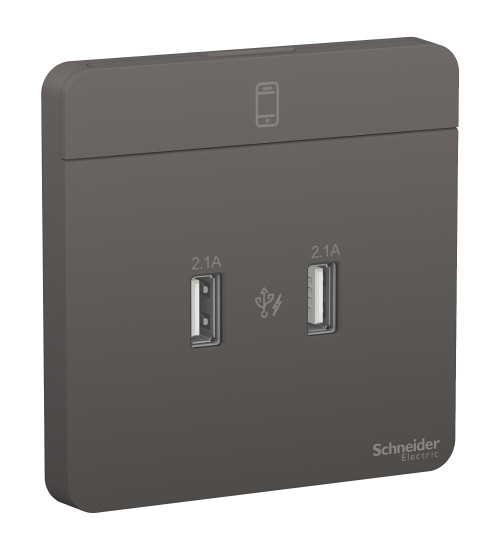 E8332USB_DG_G8 - AvatarOn, USB charger, 2typeA, 2.1A, Dark Grey - Schneider Electric