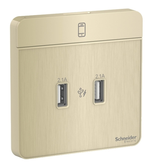 E8332USB_GH_G8 - AvatarOn, USB charger, 2typeA, 2.1A, Metal Gold Hairline - Schneider Electric