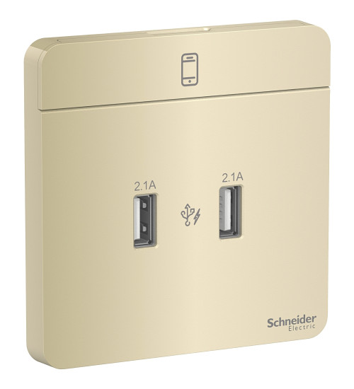 E8332USB_WG_G8 - AvatarOn, USB charger, 2typeA, 2.1A, wine Gold - Schneider Electric