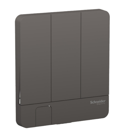 E8333KH_DG - AvatarOn, cover plate for switch, 3 rocker, Key holder, Dark Grey - Schneider Electric