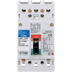 EGB3125FFG