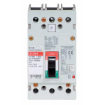 EGH3060FFG