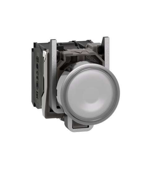 XB4BW31B5 - Illuminated push button, Harmony XB4, metal, white flush, 22mm, universal LED, plain lens, 1NO + 1NC, 24V AC/DC - Schneider Electric